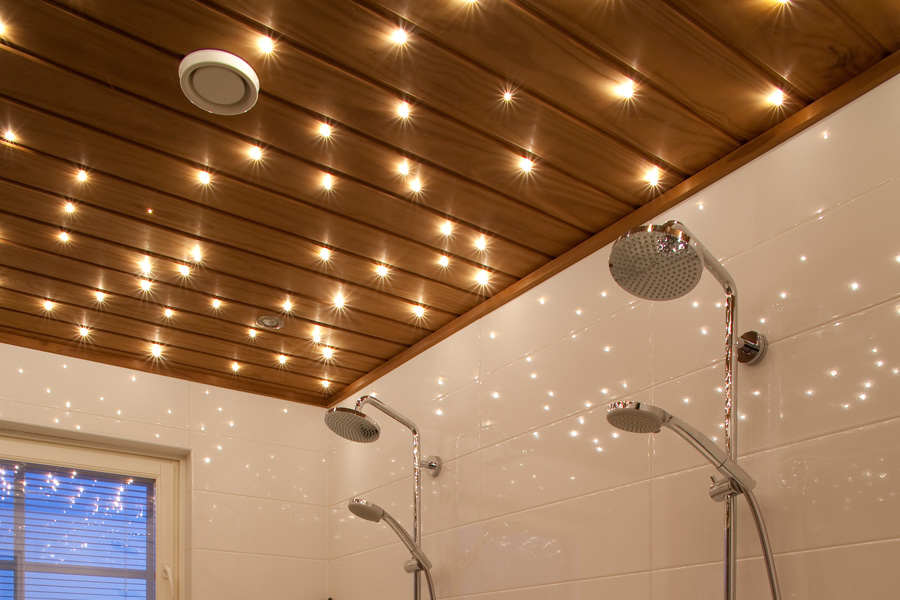 showerceiling_products-gallery_900-x-600px